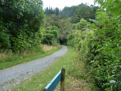 
Tunnel Gully, East of Mangaroa Tunnel, January 2013